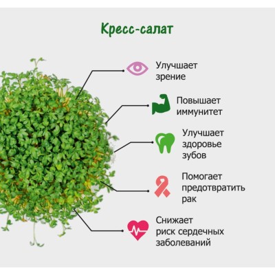 Набор для выращивания. "Моя микрозелень": КРЕСС-САЛАТ