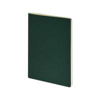 Бизнес тетрадь А5 Pragmatic